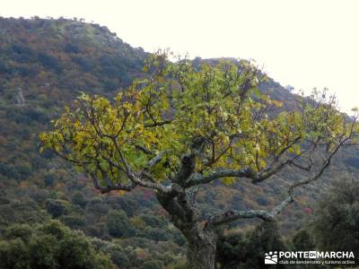 Senda Viriato; Sierra San Vicente; la pinilla fin de año senderismo barcelona viaje fin año